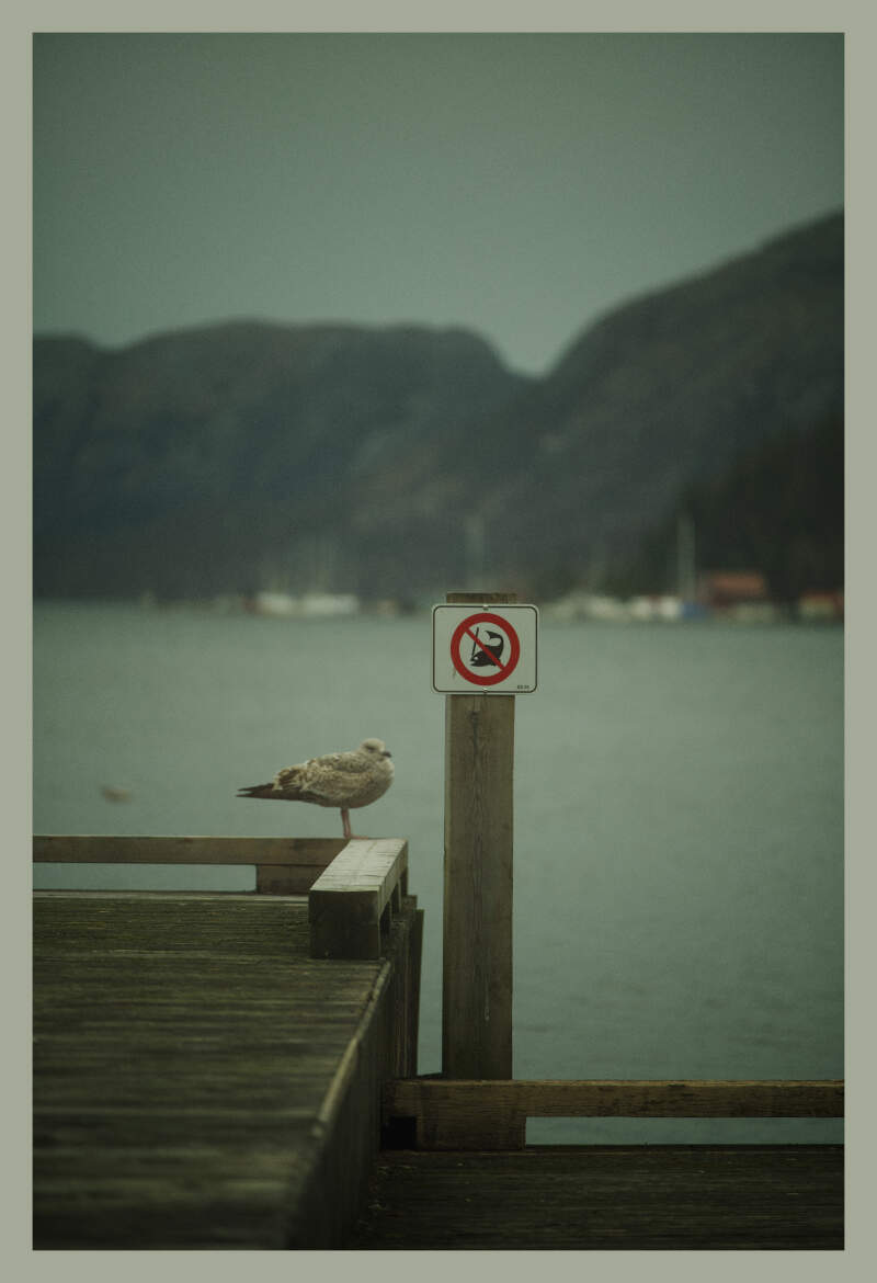 Bilde