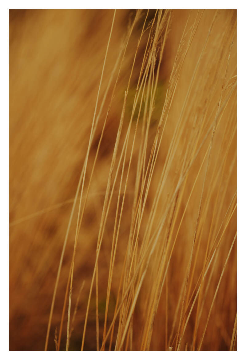 Bilde