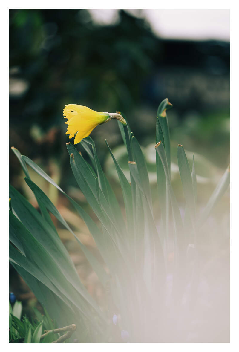 Bilde