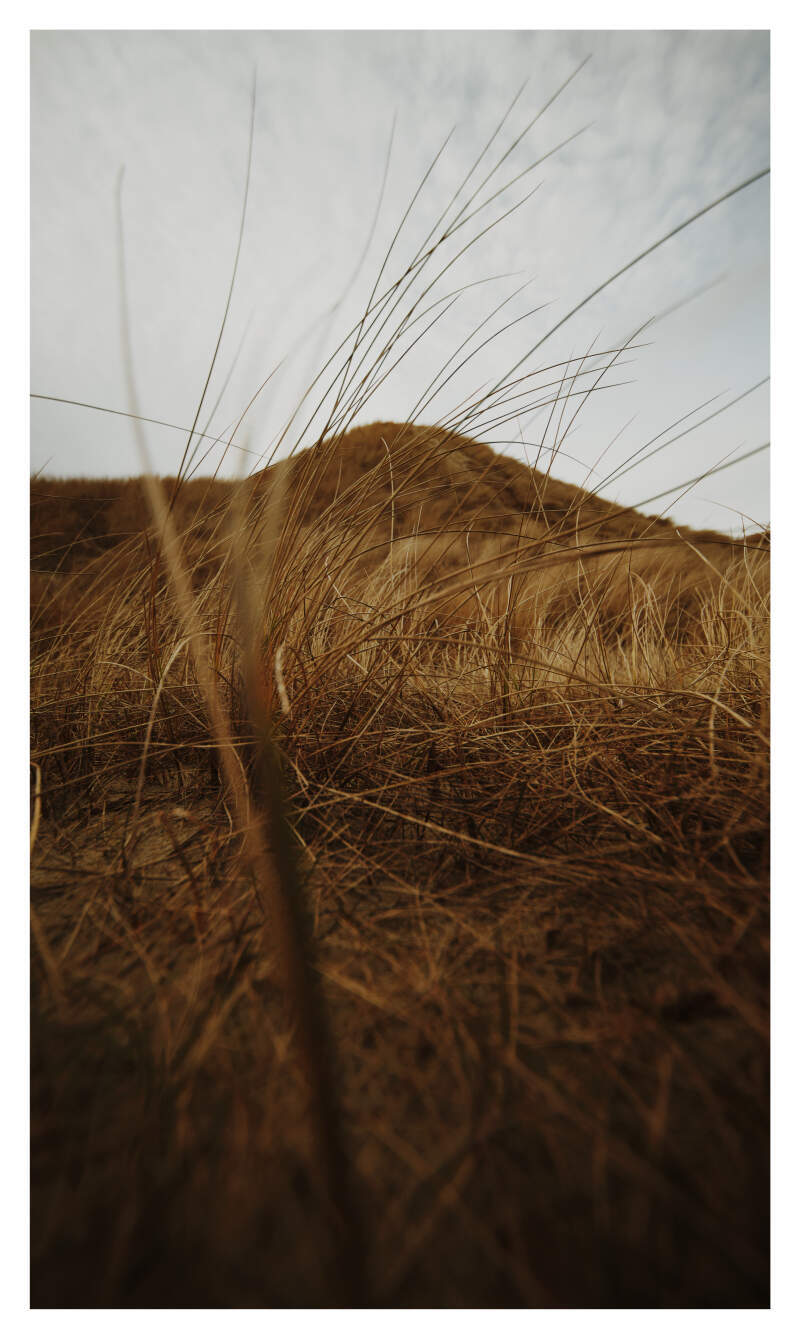 Bilde