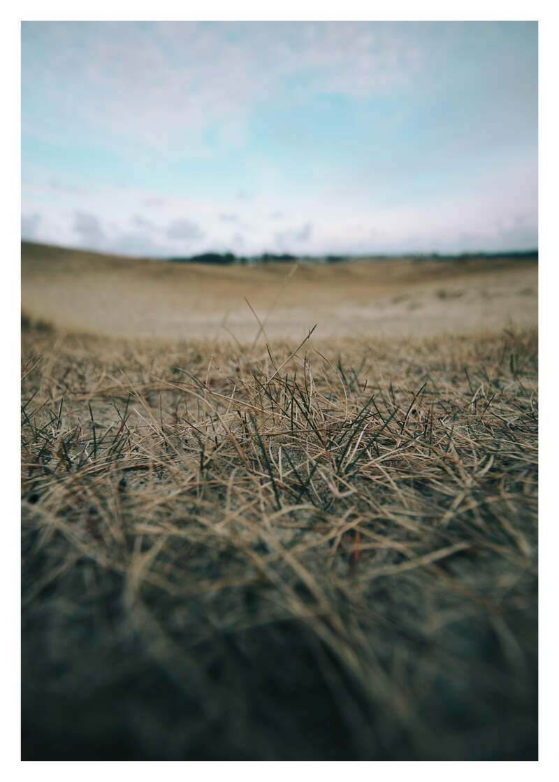 Bilde