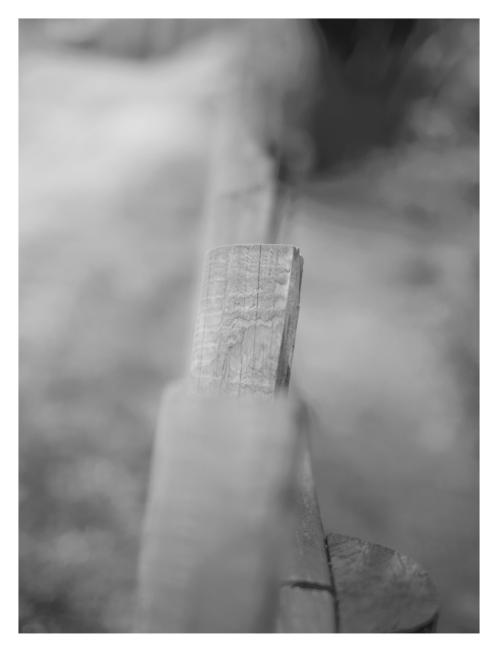 Bilde