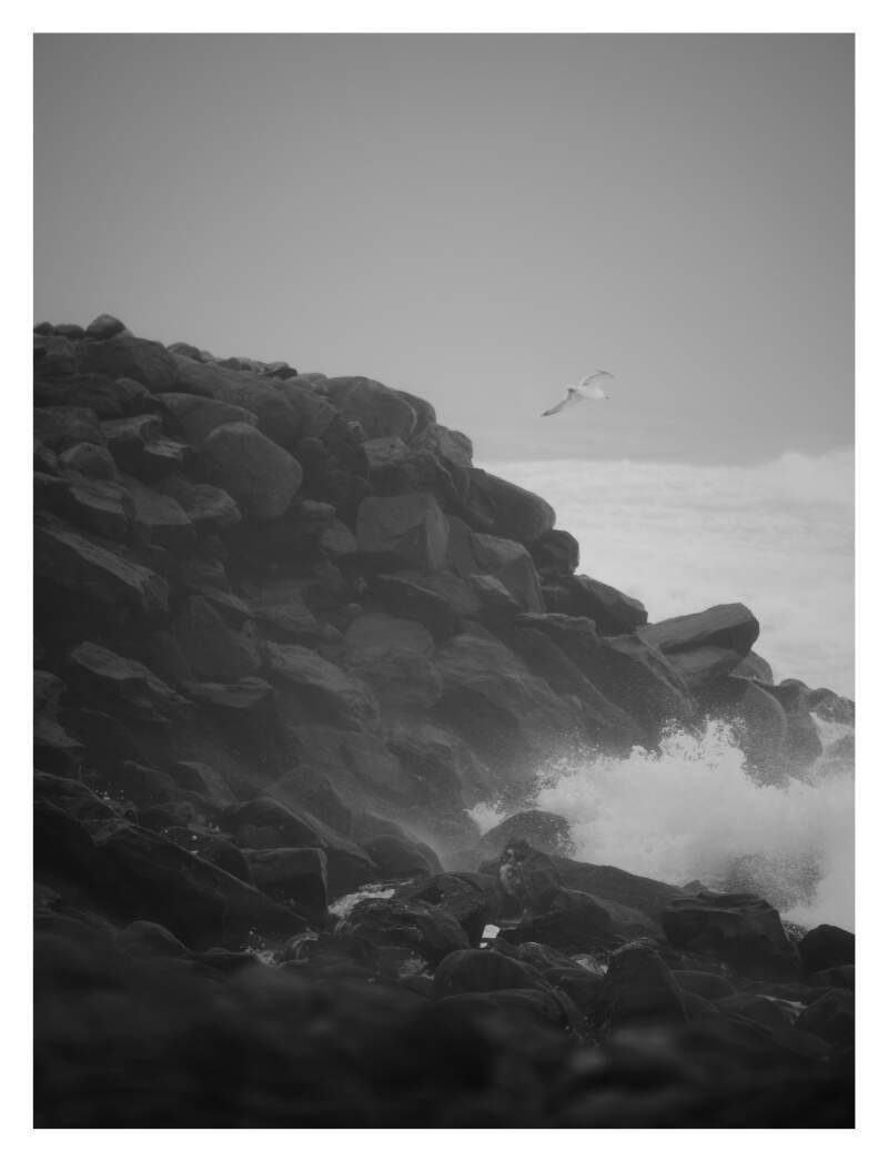 Bilde