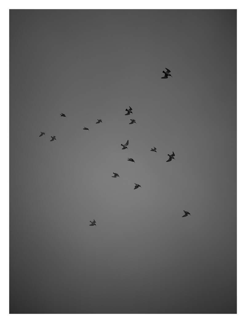 Bilde