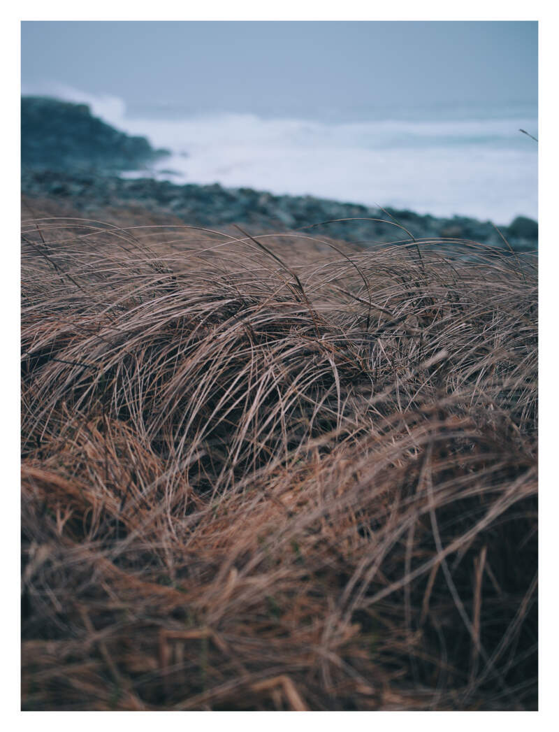 Bilde