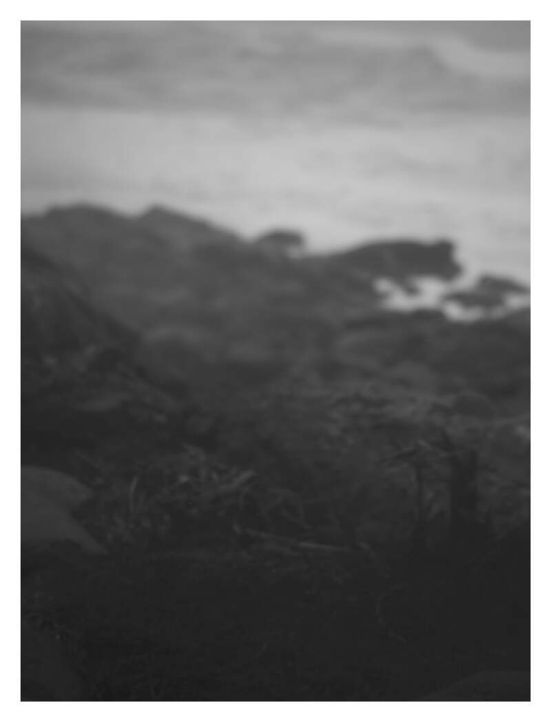 Bilde