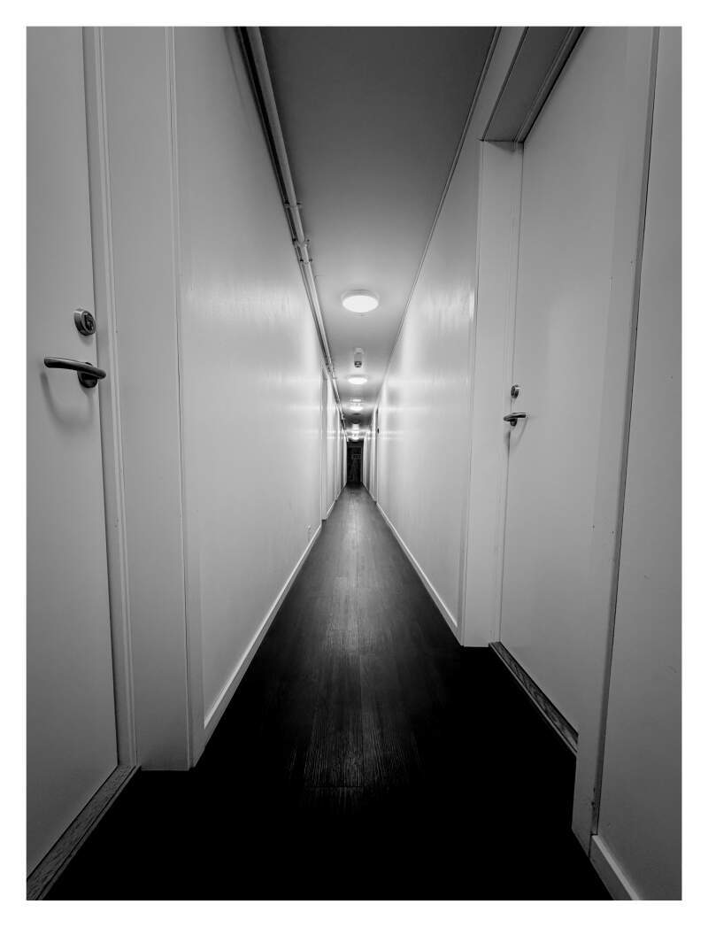 Bilde
