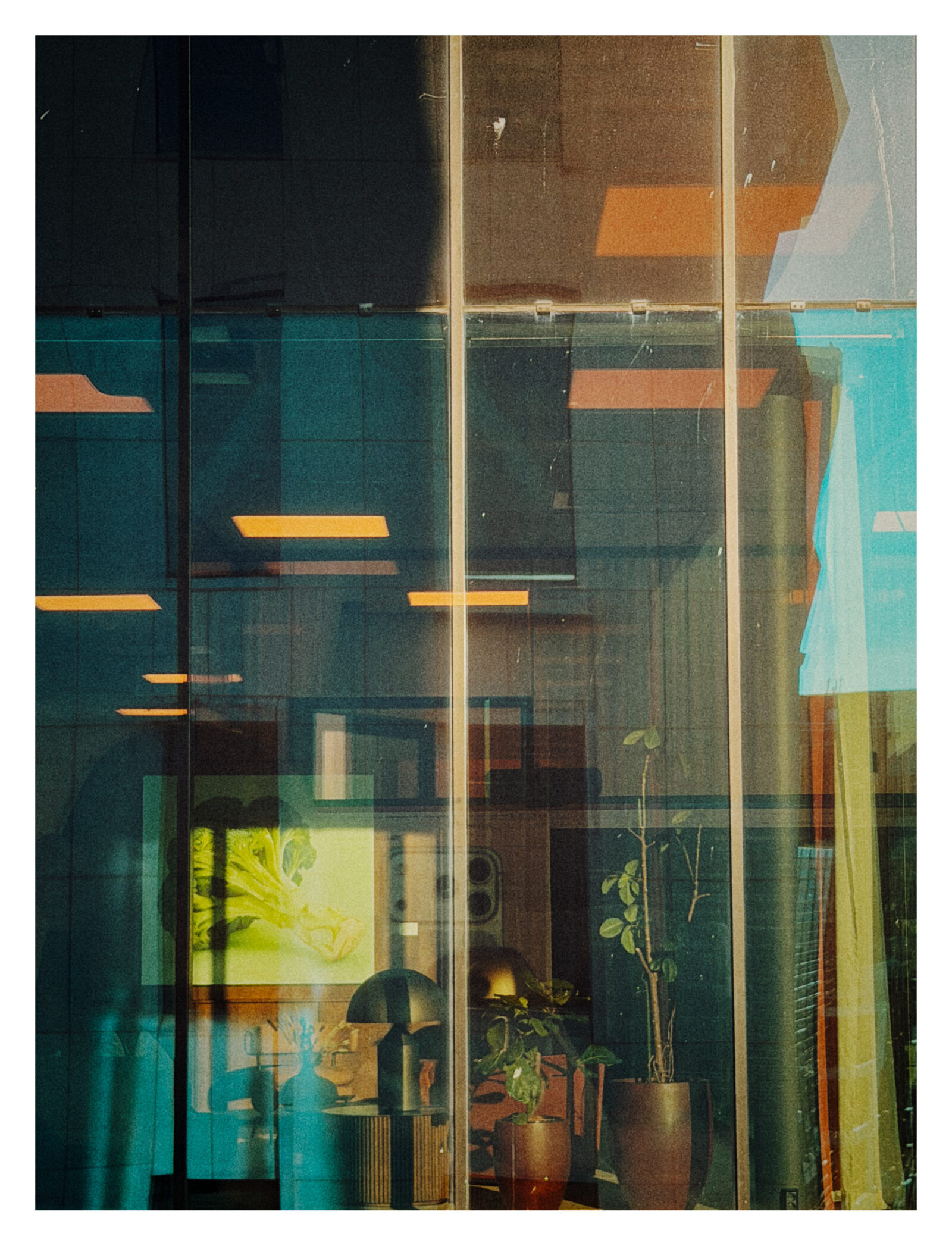 Bilde