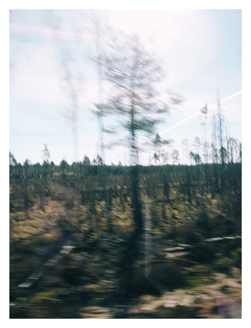 Bilde