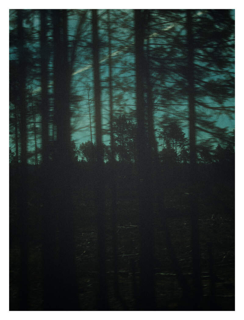 Bilde