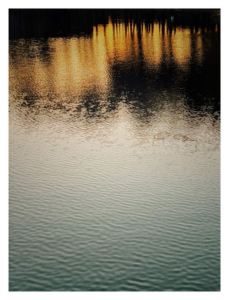 Bilde