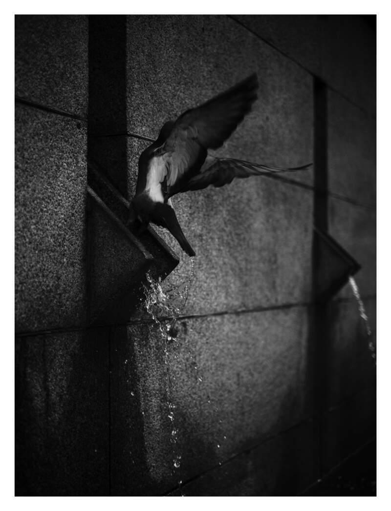 Bilde