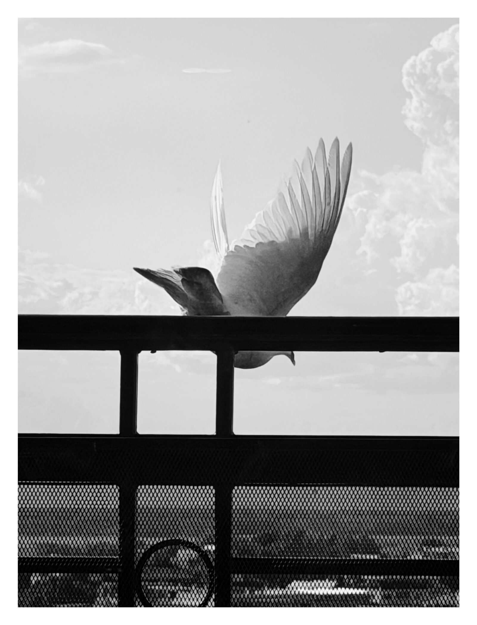 Bilde