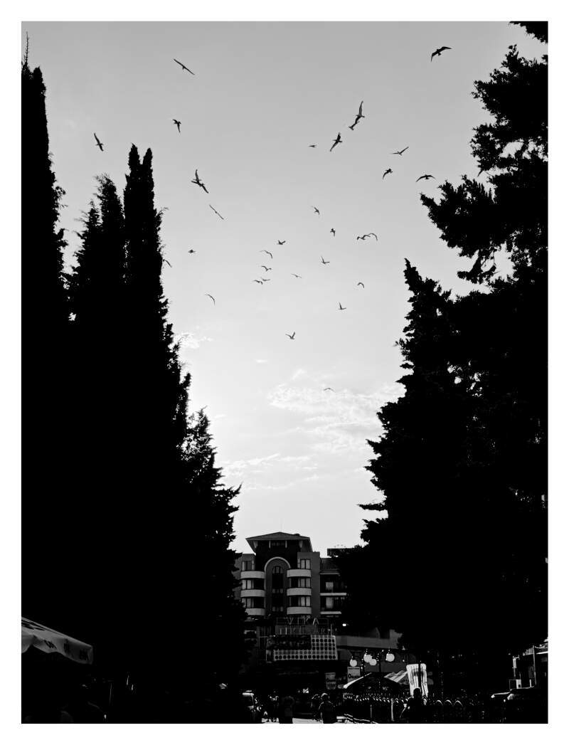 Bilde