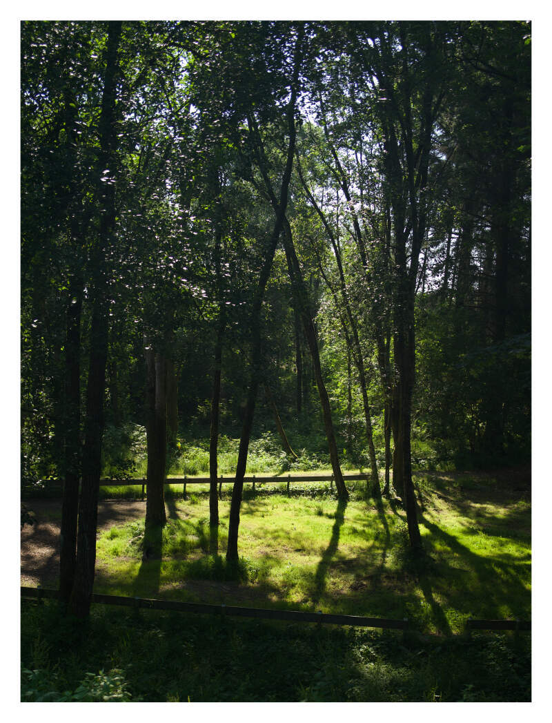 Bilde