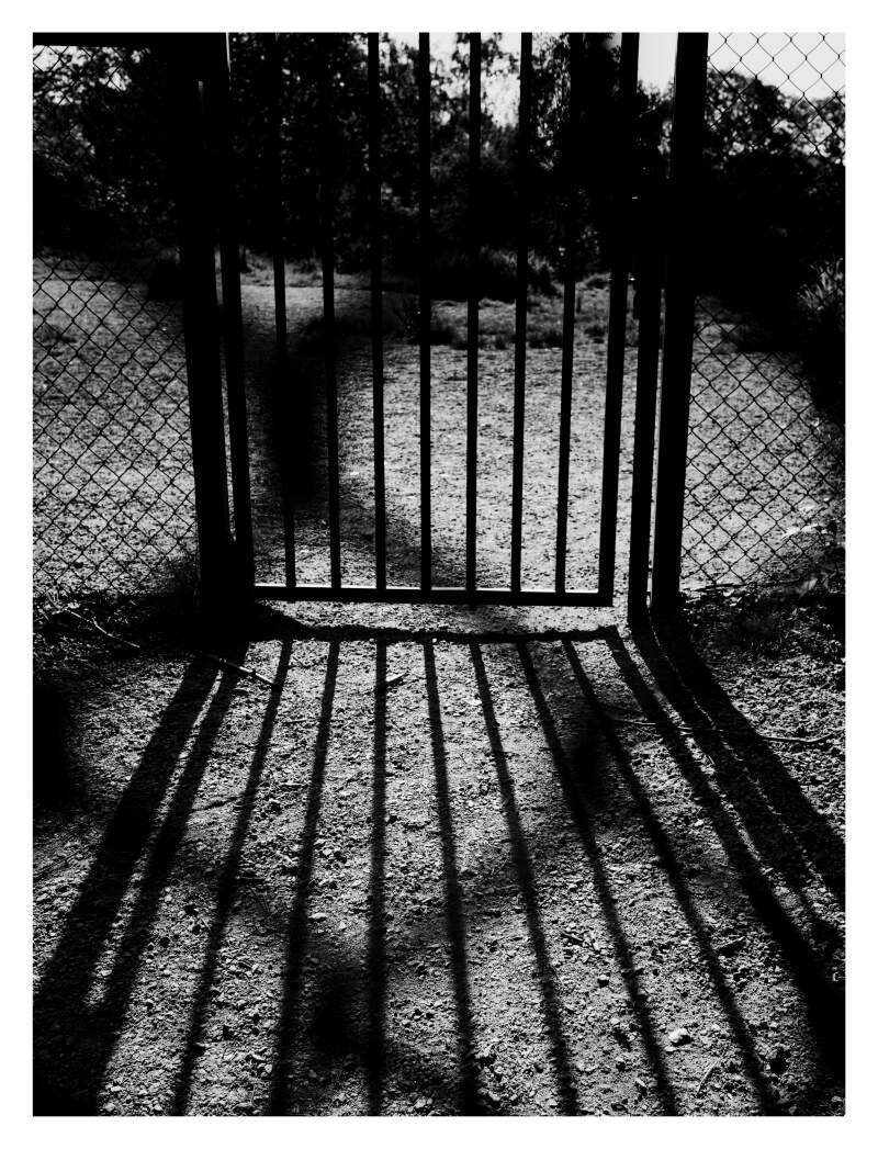 Bilde