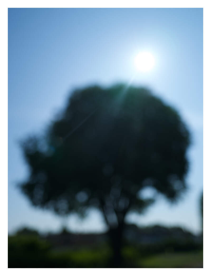 Bilde