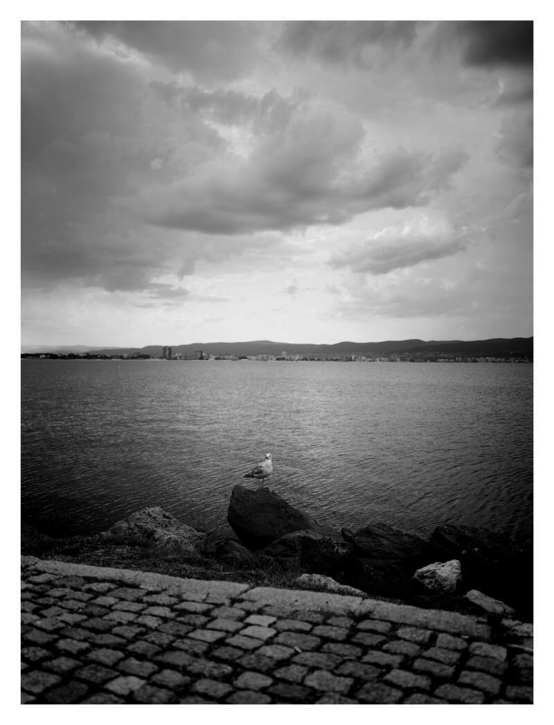 Bilde