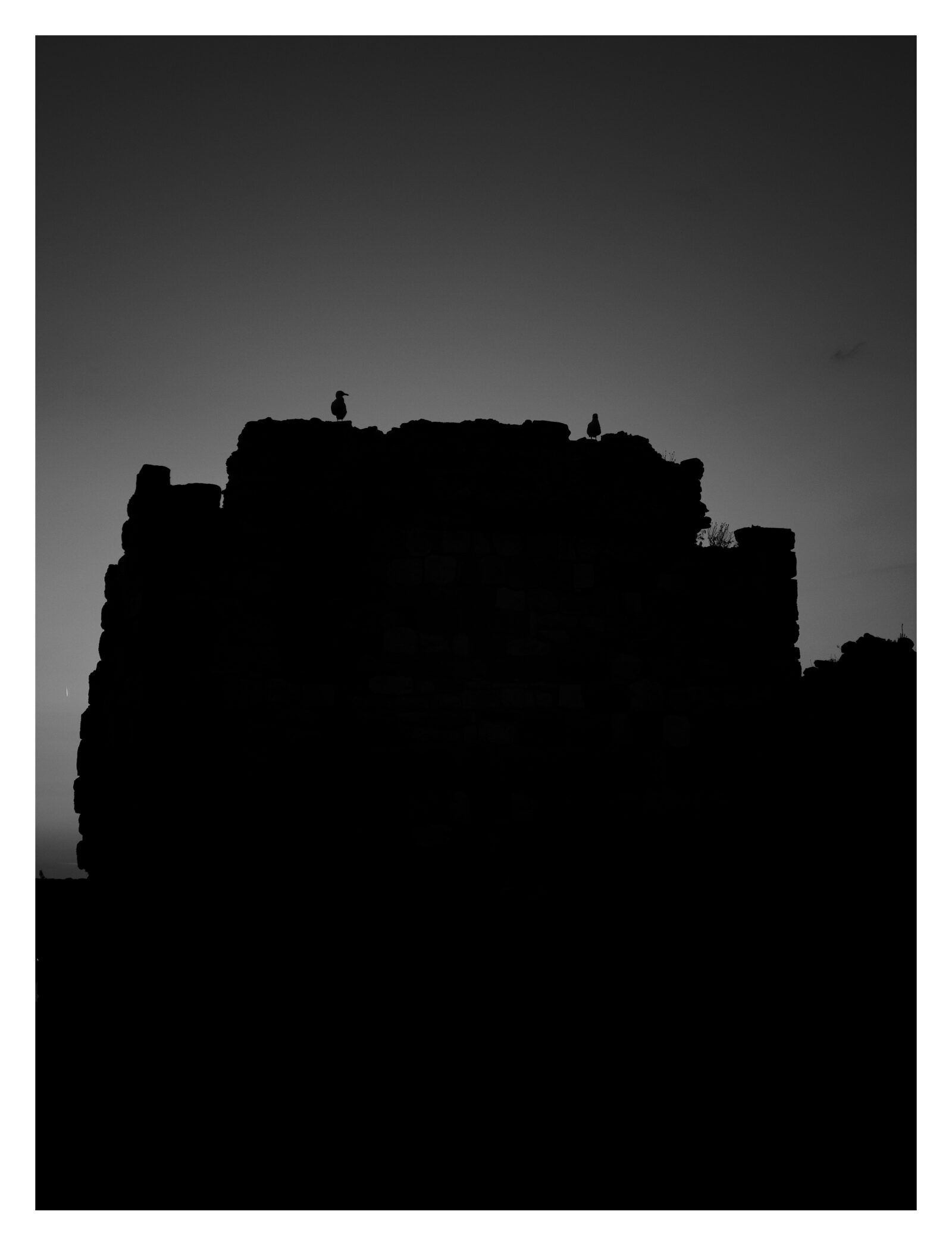 Bilde