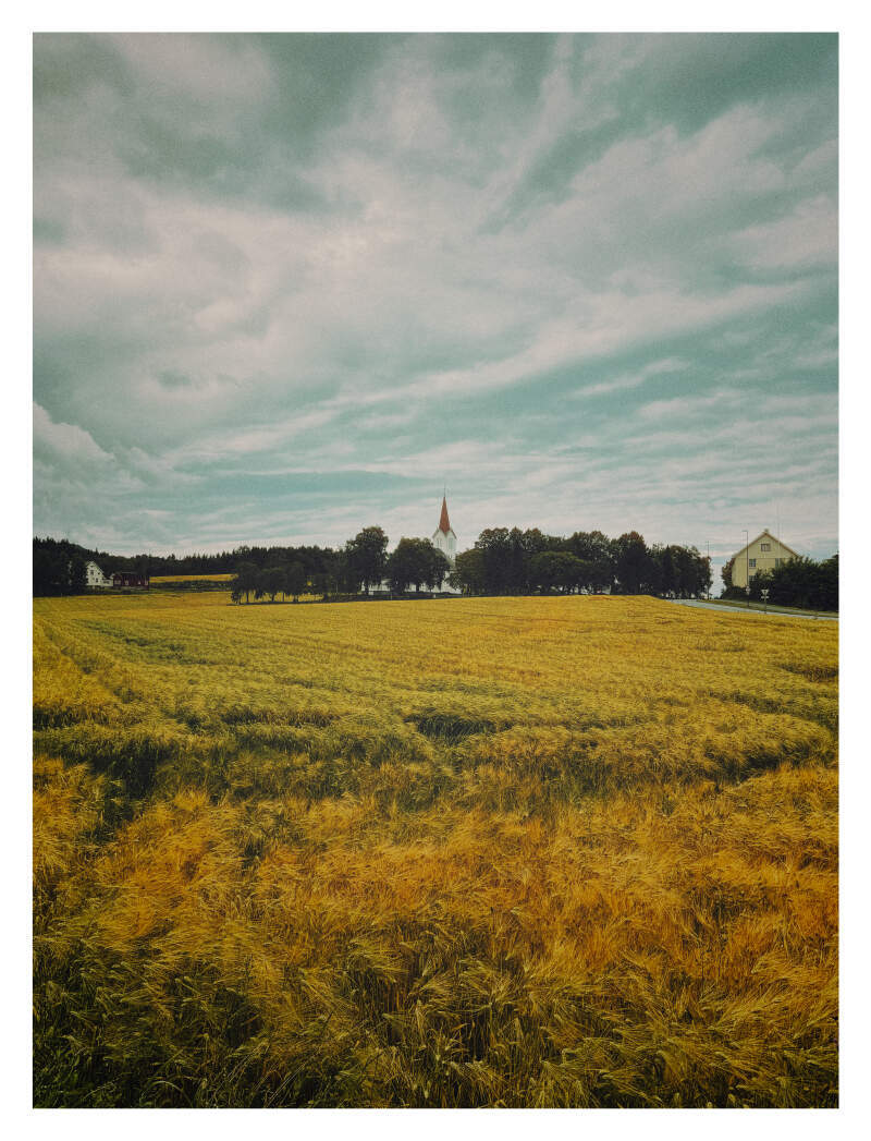 Bilde