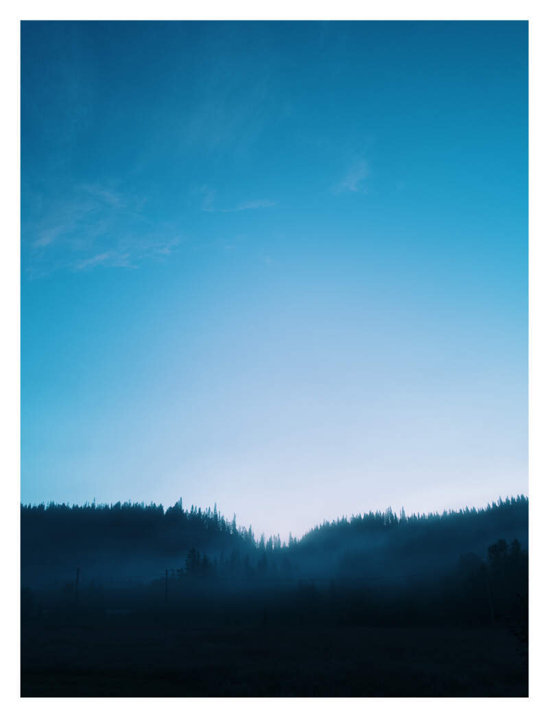 Bilde