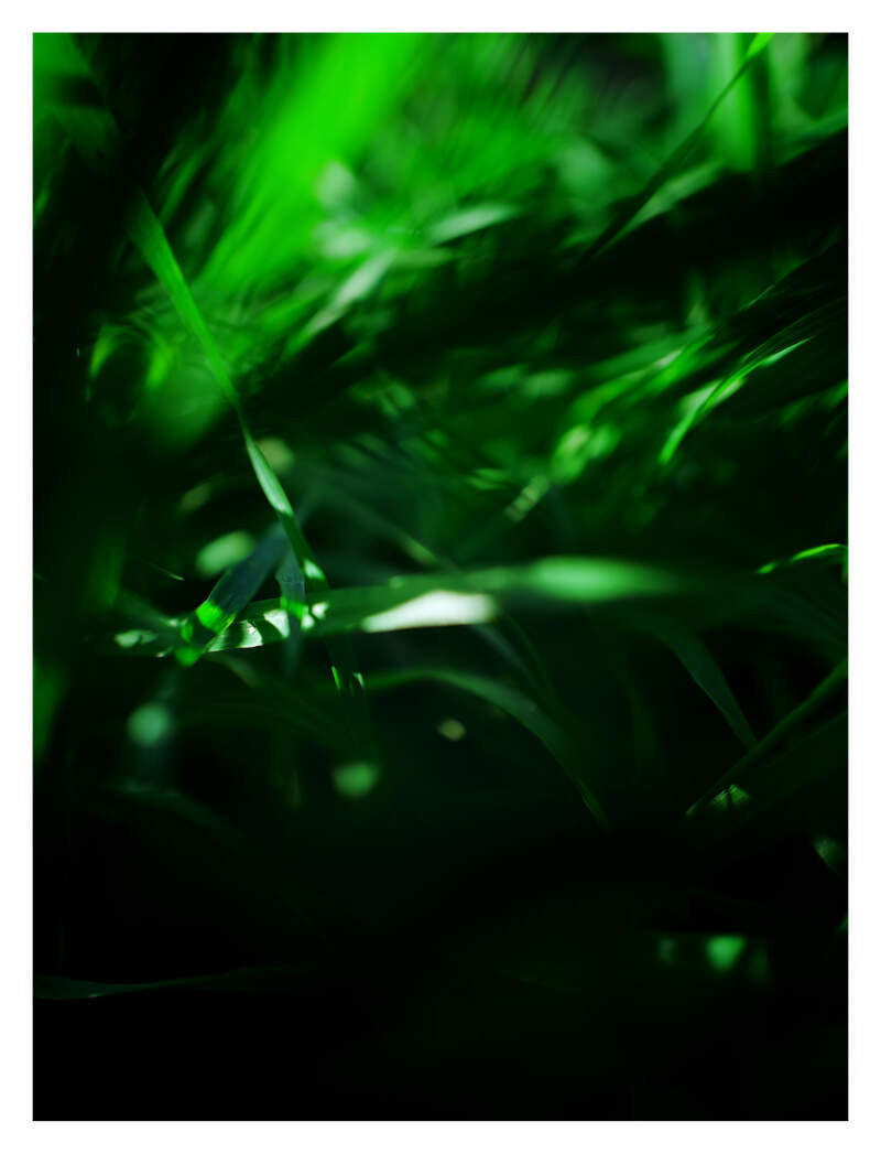 Bilde