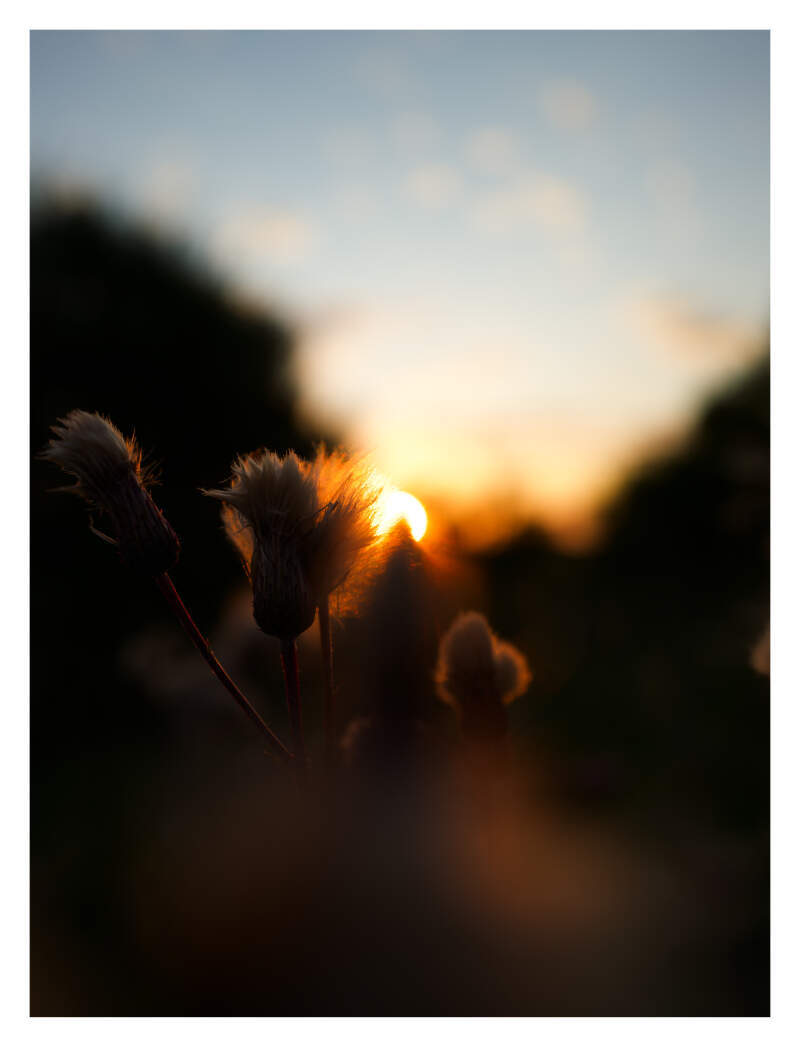Bilde