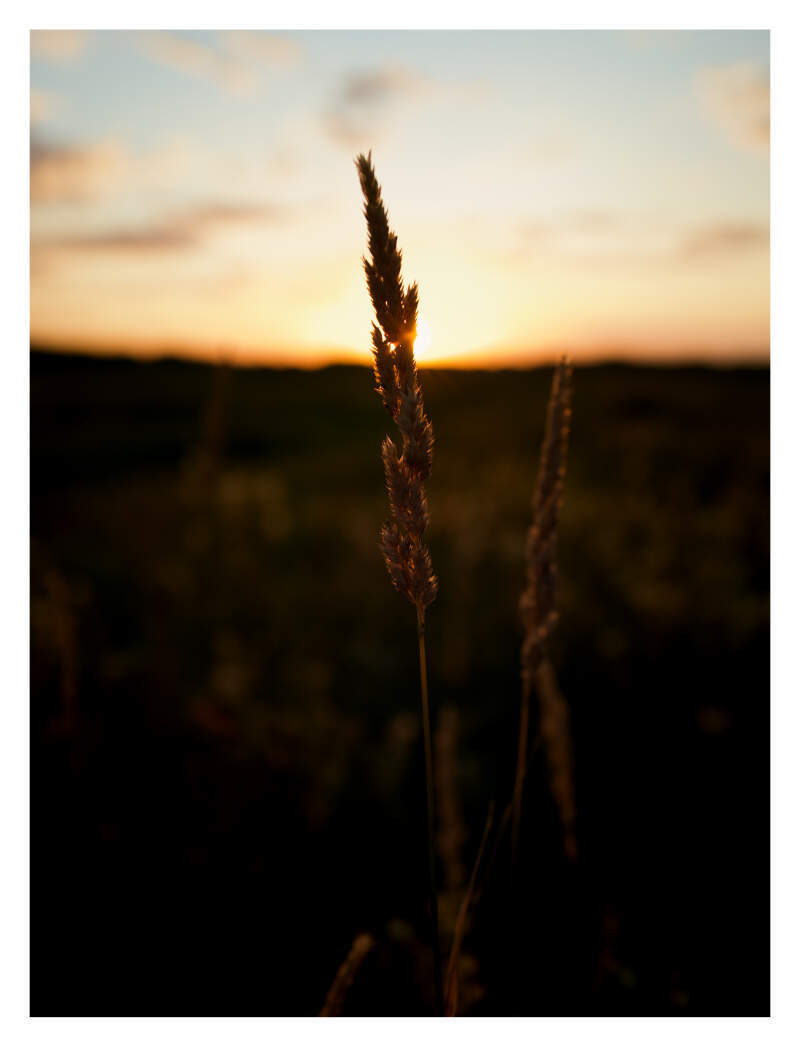 Bilde