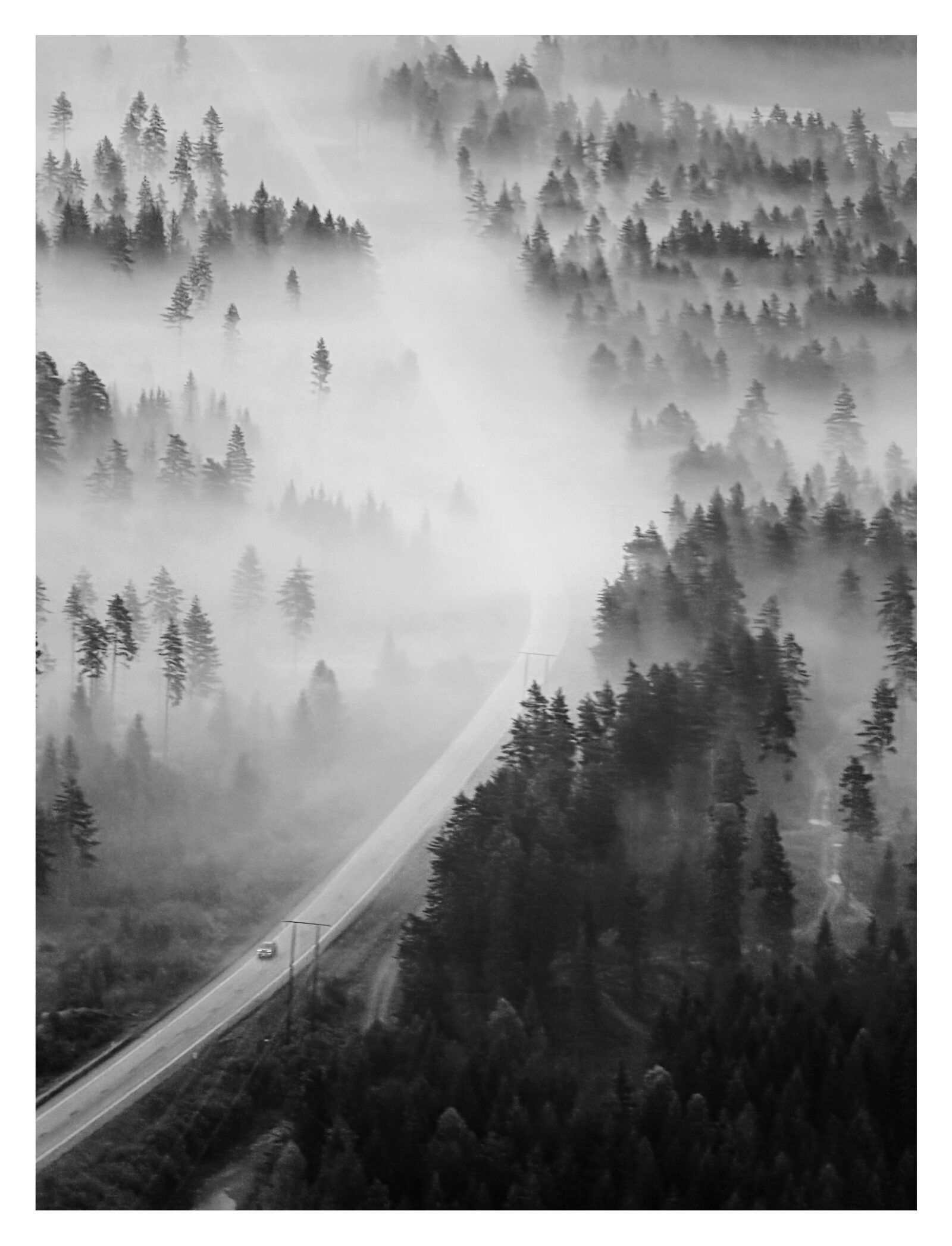 Bilde