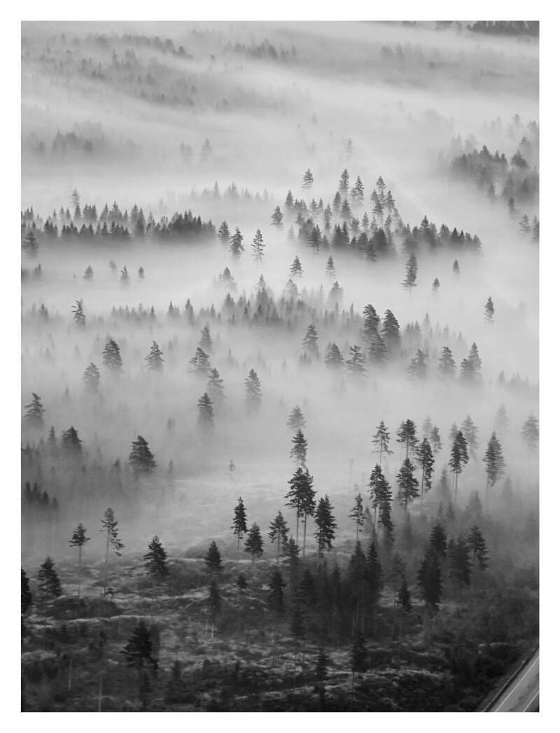 Bilde